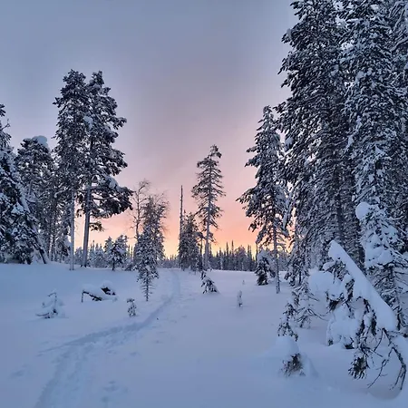 Unique Aurora Experience Вилла Aittoperae