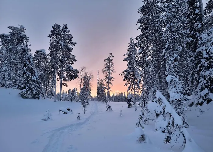 Unique Aurora Experience Villa Aittoperae